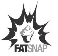 FATSNAP