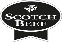 SCOTCH BEEF