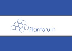 Plantarum