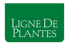 LIGNE DE PLANTES