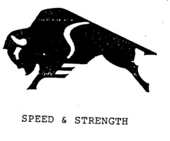 SPEED & STRENGTH