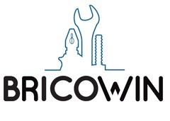 BRICOWIN