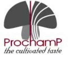 ProchamP the cultivated taste
