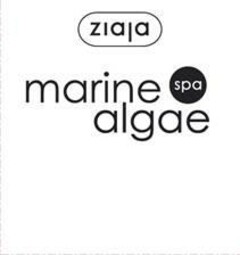 ziaja marine spa algae