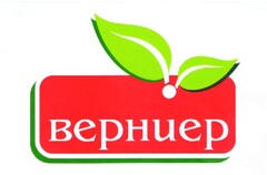 верниер