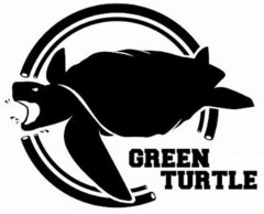 GREEN TURTLE