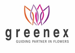 greenex GUIDING PARTNER IN FLOWERS