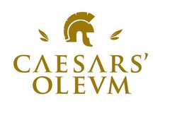 CAESARS' OLEUM