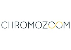 CHROMOZOOM