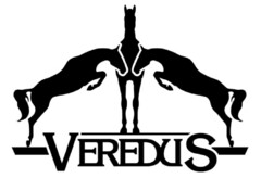 VEREDUS