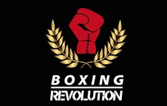 Boxing Revolution