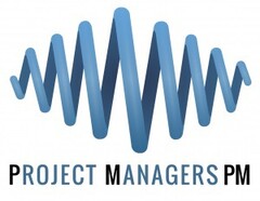 PROJECT MANAGERS PM