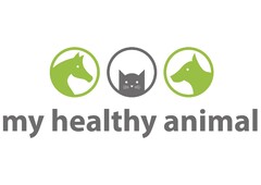 my healthy animal