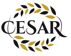 CESAR