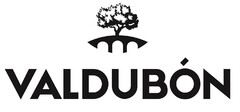 VALDUBÓN