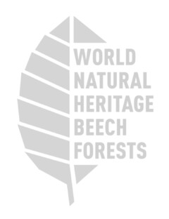WORLD NATURAL HERITAGE BEECH FORESTS
