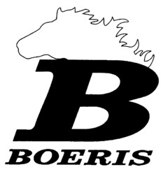 B BOERIS