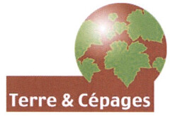 Terre & Cépages