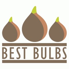 BEST BULBS