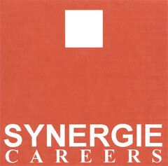 SYNERGIE CAREERS