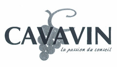 CAVAVIN La passion du conseil