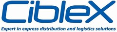 CibleX Expert in express distribution and logistics solutions