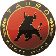 TAURO SPORT AUTO