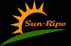 SUN - RIPE