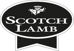 SCOTCH LAMB