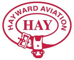 HAYWARD AVIATION HAY