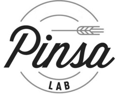 PINSA LAB