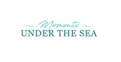 MOMENTS UNDER THE SEA