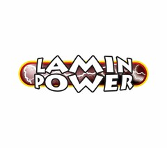 LAMIN POWER