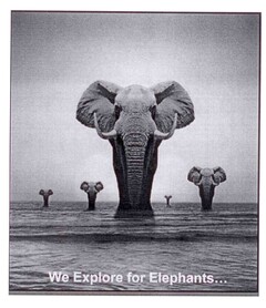 WE EXPLORE FOR ELEPHANTS