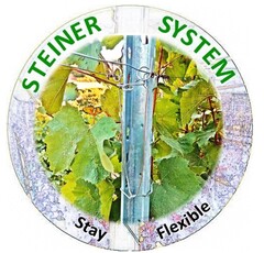 Steiner System Stay Flexible