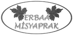 Erbaa Misyaprak