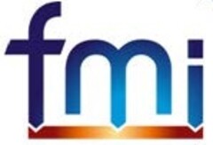 fmi