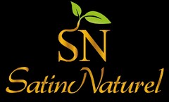 SN SatinNaturel