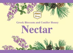 Attiki Pittas Nectar Greek Blossom and Conifer Honey