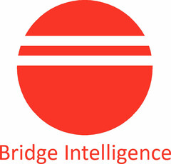 Bridge Intelligence