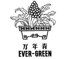 EVER-GREEN