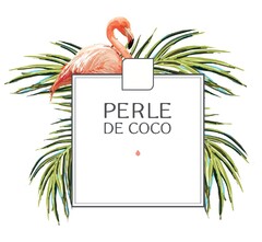 PERLE DE COCO