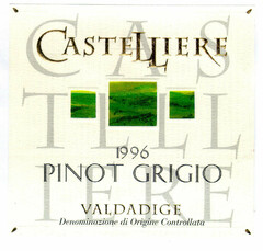 CASTELLIERE 1996 PINOT GRIGIO VALDADIGE Denominazione di Origine Controllata