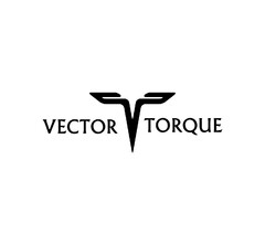 VECTOR TORQUE