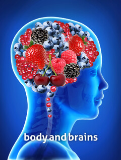 Body and Brains