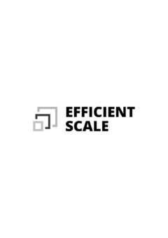 Efficient Scale