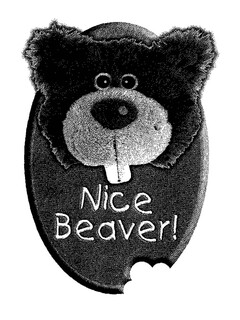 Nice Beaver!