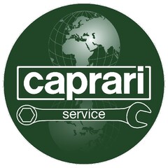 caprari service