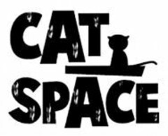 CAT SPACE