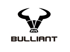 BULLIANT